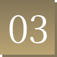 03
