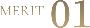 MERIT 01