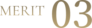 MERIT 03