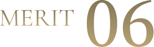 MERIT 06
