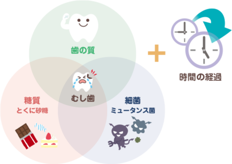 ⾍⻭が出来るメカニズム